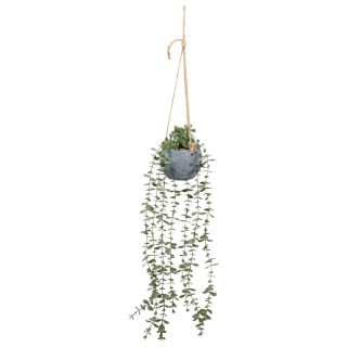 428735-concrete-hanging-foliage