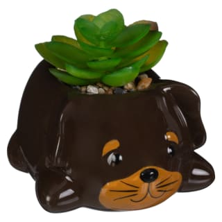 Dog Succulent - Dark