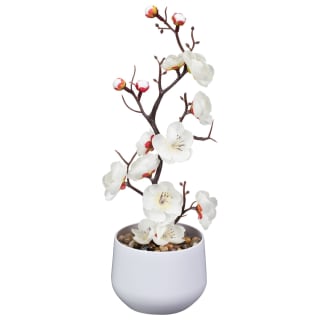 428742-tall-blossom-in-white-pot-white