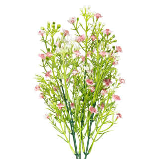 428745-gypsophila-bunch-pink-2