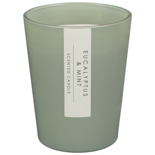 Large Glossy Scented Candle - Eucalyptus & Mint