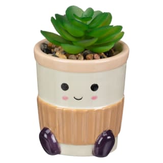 Fun Succulent - Coffee