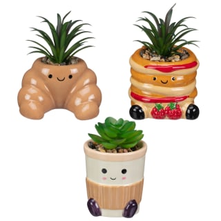 428762-jelly-cat-inspired-succulents-pancake