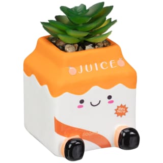 Fun Drink Succulent - Juice