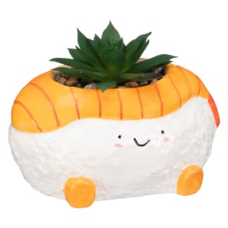 428765-jelly-cat-inspired-succulents-sushi-2