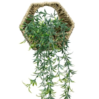 428802-hanging-plant-in-hexagonal-woven-pot-2