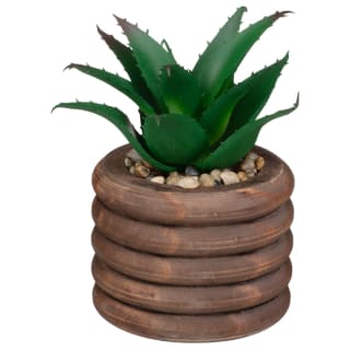 428804-succulents-in-dark-wood-bubble-pot-2