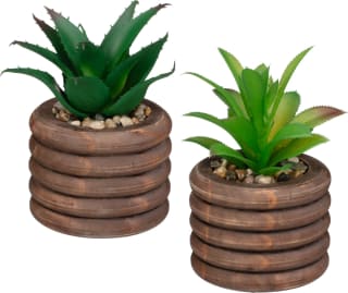 428804-succulents-in-dark-wood-bubble-pot