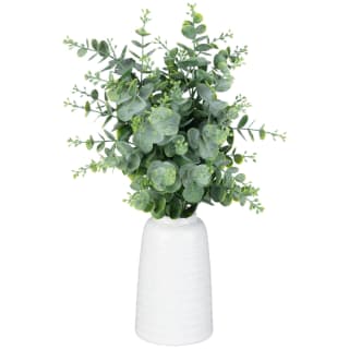 428805-eucalyptus-in-ceramic-vase