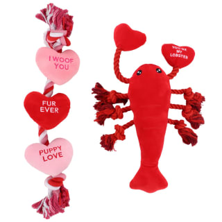 428836-valentines-rope-toy-group