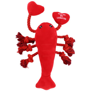 Valentine's Day Rope Pet Toy - Lobster