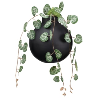 429028-trailing-hearts-in-black-pot