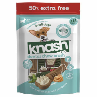 429270-knash-dental-chew-brush-3