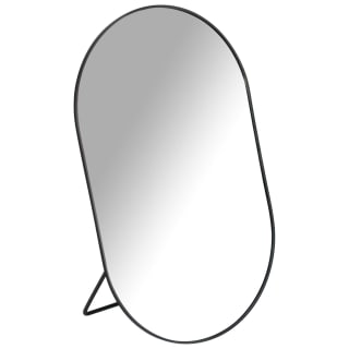 Large Oval Mirror