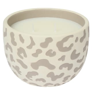 429559-leopard-candle