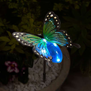 Solar Powered 2 in 1 Butterfly - Blue