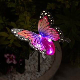 429570-solar-powered-2in1-butterfly