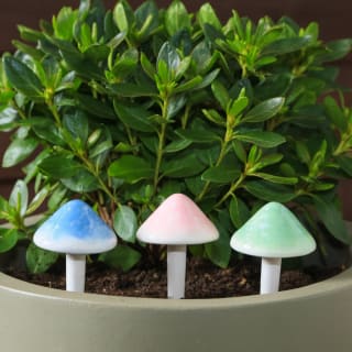 429627-3-pack-toadstool-pot-stakes