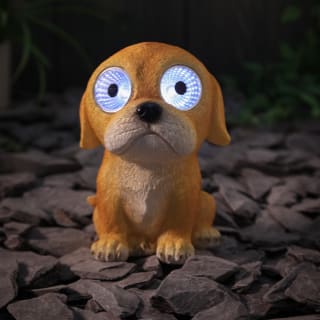 Solar Powered Big Eyed Dog - Labrador