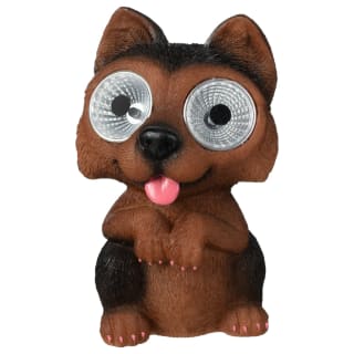 429642-solar-powered-big-eyed-dogs-21