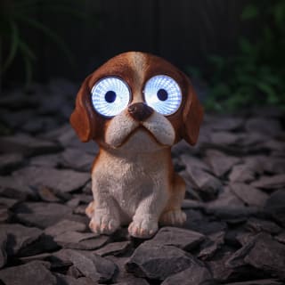 429642-solar-powered-big-eyed-dogs-3