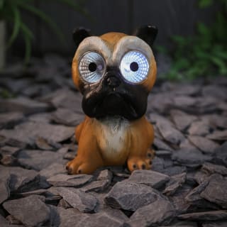 Solar Powered Big Eyed Dog - Bulldog