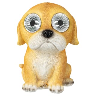 429642-solar-powered-big-eyed-dogs-61