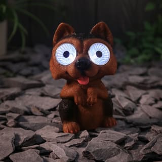 Solar Powered Big Eyed Dog - Yorkshire Terrier