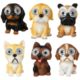 429642-solar-powered-big-eyed-dogs1