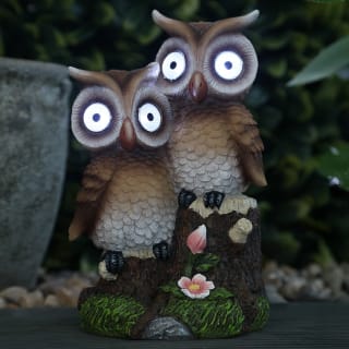 Solar Powered Owls with Big Eyes