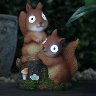 Solar Powered Squirrels with Big Eyes