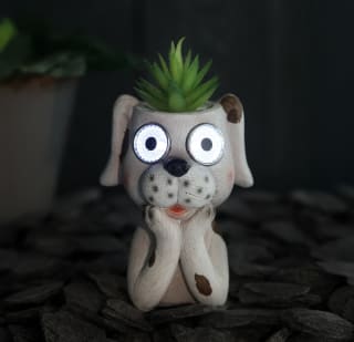Solar Powered Dog with Artificial Succulent