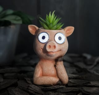 Solar Powered Pig with Artificial Succulent