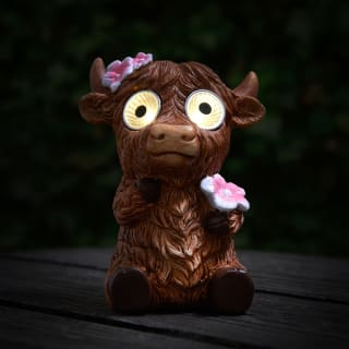 429683-solar-powered-big-eyed-highland-cow