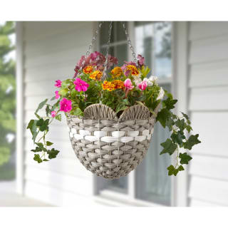 429813-12inch-scallop-hanging-basket-grey