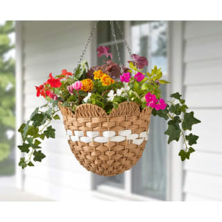 429814-12inch-scallop-hanging-basket-natural