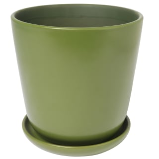 429829-large-planter-on-plate-green-2