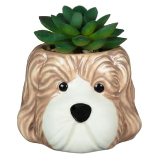 430034-novely-dog-succulent-2