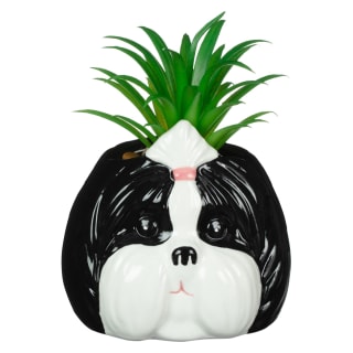 430034-novely-dog-succulent-3