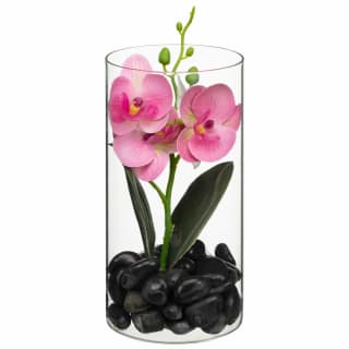 Orchid in Glass Jar - Pink