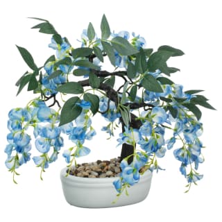 Wisteria Bonsai Tree in White Pot - Blue