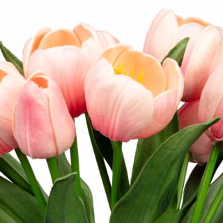 430055-tulips-in-glass-vase-2