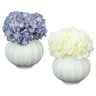 430061-hydrangea-in-ribbed-pot-group