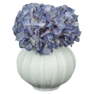 430061-hydrangea-in-ribbed-pot