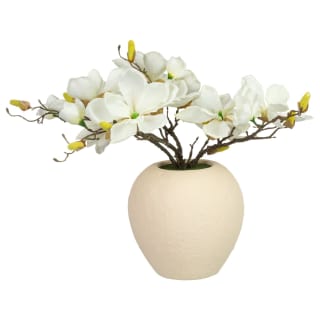 430078-magnolia-in-a-ceramic-pot