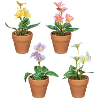 430081-small-flowers-in-teracotta-pot-group1