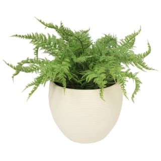 430228-ribbed-pot-with-plant-cream