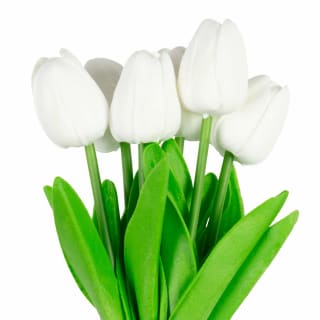 430391-tulip-bunch-white-2
