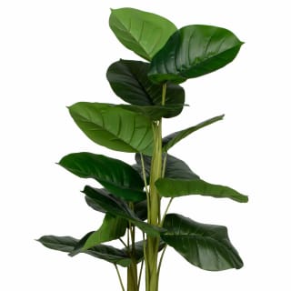 430458-large-plant-150cm-2