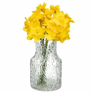 Daffodils in Patterned Glass Vase